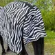 AB insectendeken zebra combo